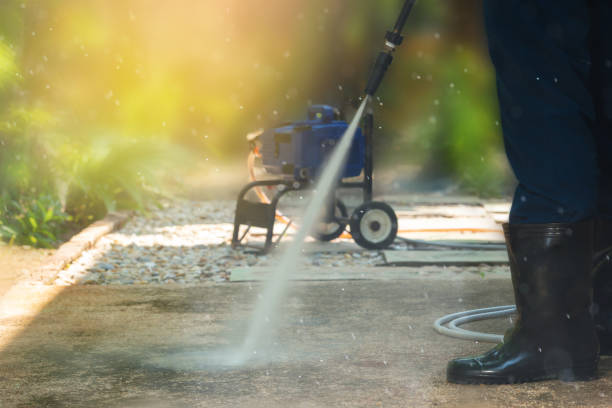 Best Driveway Pressure Washing  in Annandale, MN